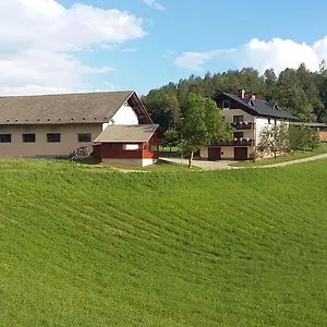 Guest house Vrtacnik